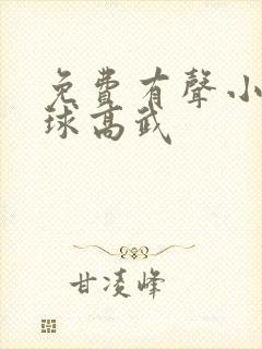 免费有声小说全球高武