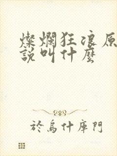 灿烂狂浪原著小说叫什么