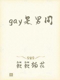 gay是男同