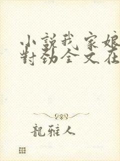 小说我家娘子不对劲全文在线阅读