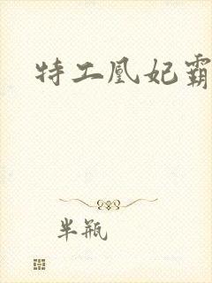 特工凰妃霸天下