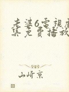 老婆6电视剧全集免费播放西瓜