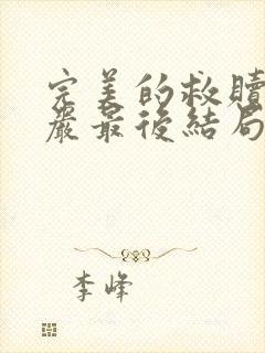 完美的救赎廖伯岩最后结局封面