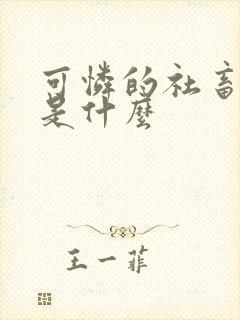 可怜的社畜讲的是什么