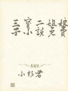 三宝二姐娘驴娃子小说免费封面