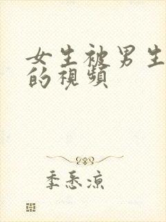 女生被男生操了的视频