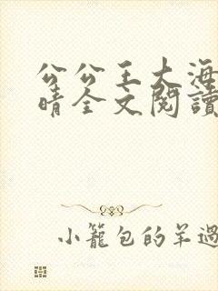公公王大海和芷晴全文阅读笔趣阁封面