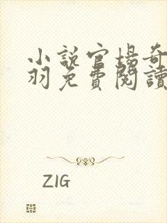 小说官场奇才陆羽免费阅读