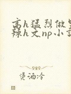 高h猛烈做哭高辣h文np小说