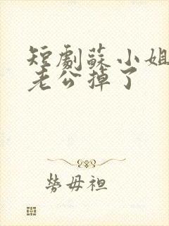 短剧苏小姐,你老公掉了