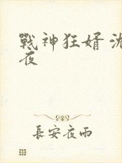 战神狂婿 沈七夜