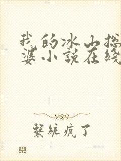 我的冰山总裁老婆小说在线