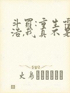 斗罗:重生霍雨浩,我真不是魅魔封面