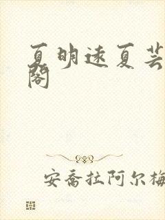 夏明远夏芸笔趣阁