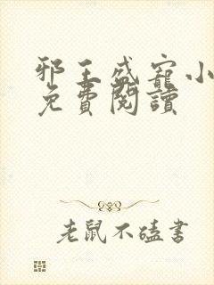 邪王盛宠小毒妃免费阅读