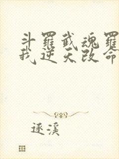 斗罗武魂罗三炮我逆天改命