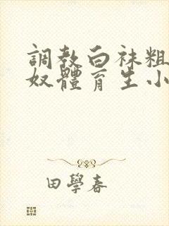 调教白袜粗口贱奴体育生小说封面