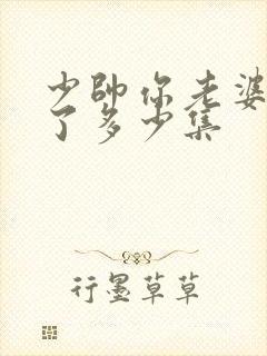 少帅你老婆又跑了多少集