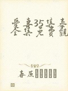 爱妻35集泰剧全集免费观看国语版