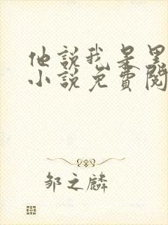 他说我是黑莲花小说免费阅读全文