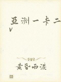 亚洲一卡二卡av