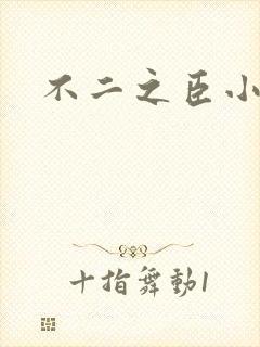 不二之臣小说封面