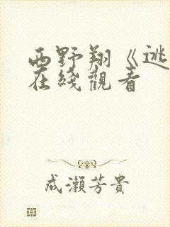 西野翔《逃杀》在线观看