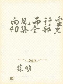 向风而行电视剧40集全部免费观看