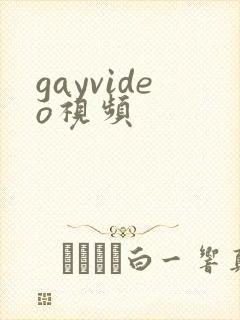 gayvideo视频