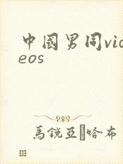 中国男同videos封面