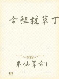 合租校草丁念念