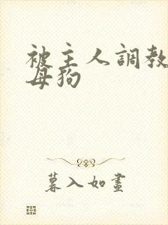 被主人调教成骚母狗