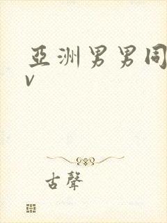 亚洲男男同志av