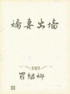娇妻出墙封面