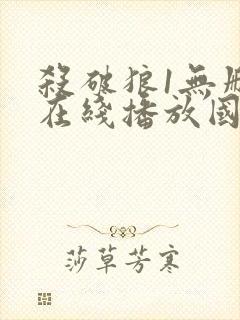 杀破狼1无删减在线播放国语