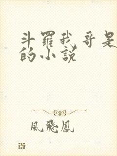 斗罗我哥是唐三的小说