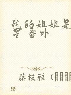 我的姐姐是大明星 番外