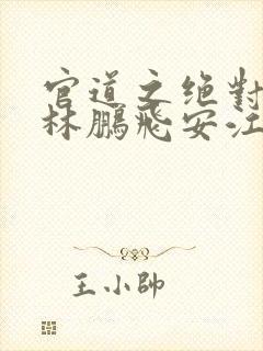 官道之绝对权力林鹏飞安江txt全集下载封面