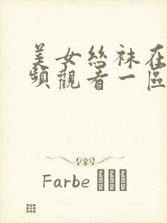 美女丝袜在线视频观看一区二区