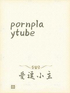 pornplaytube封面