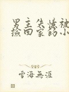 男主失忆被女主捡回家的小说