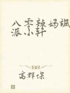 八零辣妈飒爆了派小轩封面