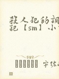 杀人犯的调教日记【sm】小说