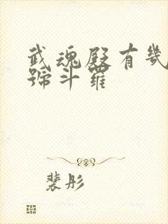 武魂殿有几个封号斗罗封面