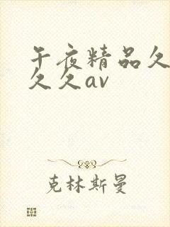 午夜精品久久久久久av