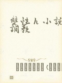 双性 h 小说调教封面