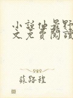 小说他最野了全文免费阅读封面