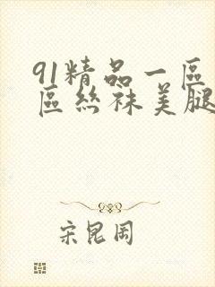 91精品一区二区丝袜美腿封面