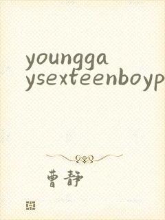 younggaysexteenboypornvideo