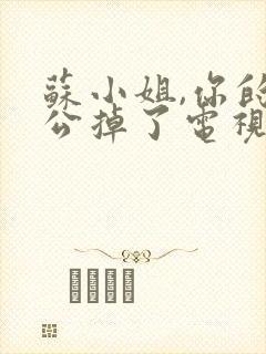 苏小姐,你的老公掉了电视剧剧情介绍